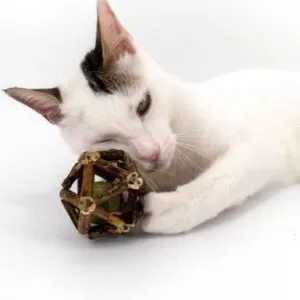 Kedi Catnipli Matatabi Oyun Topu
